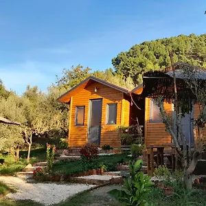 https://bujtina-musta.albaniahotels.org